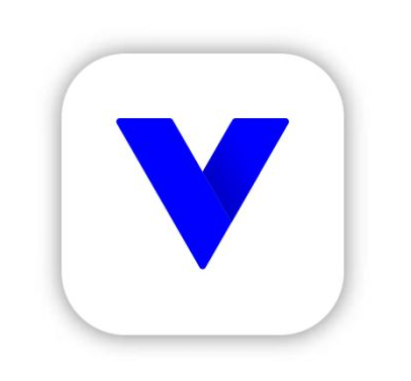 Vivotek VSS Logo